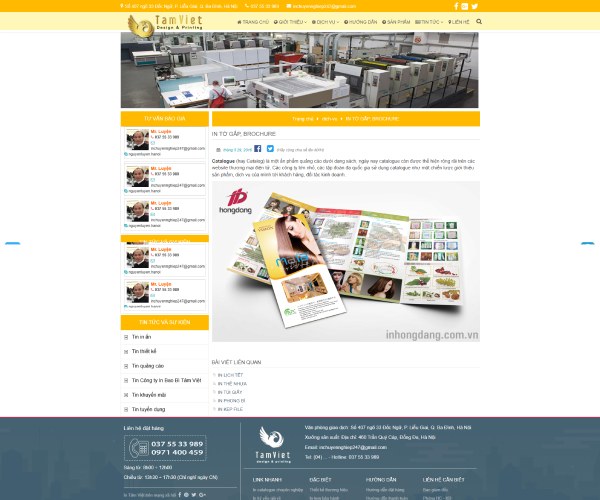 Mẫu web công ty in DN002